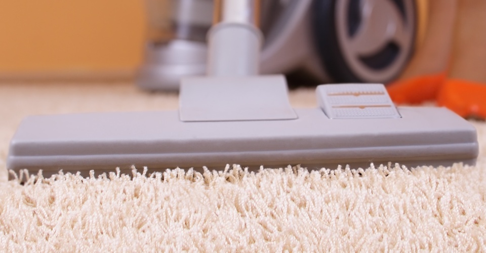 lavado y limpieza de alfombras en modelo norte